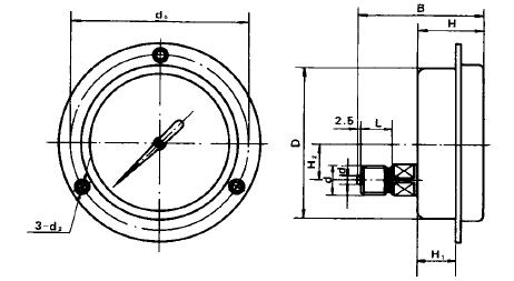 一般压力表轴向带边安装图片及尺寸