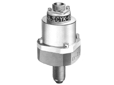 CYK-II压力继电器